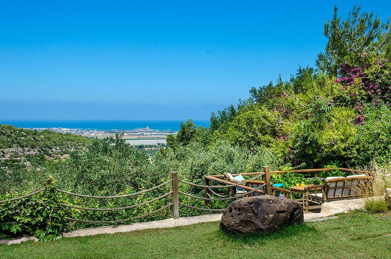 Villa Above The Sea à Ein Hod Extérieur photo