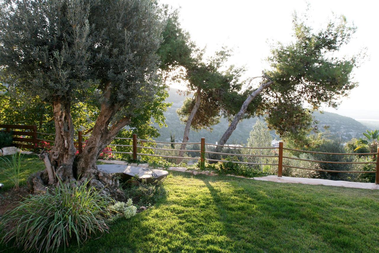 Villa Above The Sea à Ein Hod Extérieur photo
